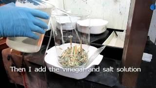 How To Recover Gold From Computer Scrap With Salt And Vinegar 1of3