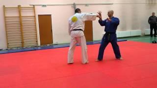 Real Aikido Igor Petrovich 6