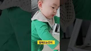 8개월아기 서서놀기조은 장난감 당근해왔어요^^#宝宝#baby