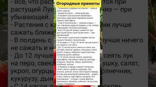 5 огородных примет, которые работают на 100% #садоводство #садоводничество #растения #огород #дача