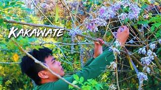 KAKAWATE | MADRE DE CACAO  turn into delicious meal | simpleng buhay sa Probinsiya