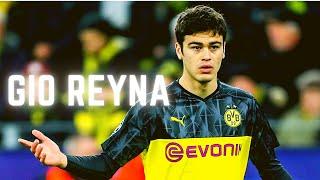 The Brilliance Of Giovanni Reyna - Goals, Skills, Assists - HD