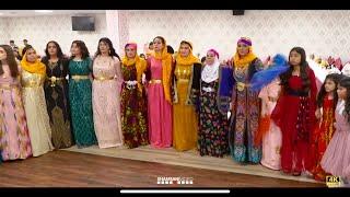 Yusuf & Gülbahar // Part 1 // Hena // 4K // Koma Ali Camil // Shamsani Video ®2023