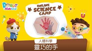 【Online Science Camp】—「人體科學篇」EP06 靈巧的手