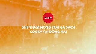 Ghé thăm nông trại gà sạch của Cooky tại Đồng Nai | Cooky Việt Nam