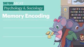 Memory Encoding (Psychology/Sociology) | Sketchy MCAT