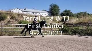 TerraLuna first canter 9-25-2023