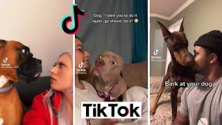 Bark at your dog and see his reaction...  TikTok Compilation