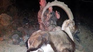 Bezoar Ibex Hunt in Turkey / Flemming Rolin & Recep Ecer