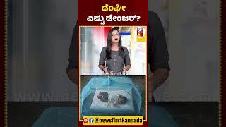 ಡೆಂಘೀ ಎಷ್ಟು ಡೇಂಜರ್​? #Dengue #DengueFever #DengueFeverSymptoms #Mosquito #newsfirstlive