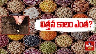 విత్తన కాలం ఎంత? |  Nelathalli | hmtv Agri