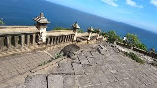 Stalked by Monkeys - Uluwatu Temple , Bali, Indonesia - May 18, 2019