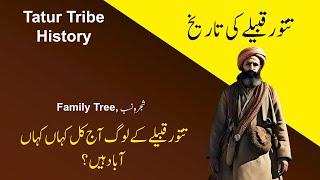 IHC Caste series: History of tatur tribe of lodhi and Lohani pashtun-  Pashtun family tree