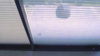 Lumon Sonnenschutzplissees transparent grau