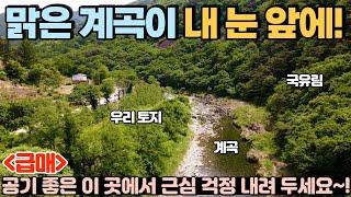 [156] 산 가격 그대로 팝니다! / 맑은 계곡에 접한 토지. 근심 걱정 내려놓고 공기 좋은 곳에서 힐링하세요~ / 충청북도 제천시 덕산면 전원주택지, 토지 매매 #제천부동산