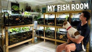 Exclusive Tour of My Home Fish Room!