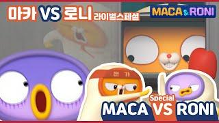 [Maca&Roni]  compilation  | 싸우면서 크는(?) 악동들 몰아보기! | MACA vs RONI | 마카VS로니