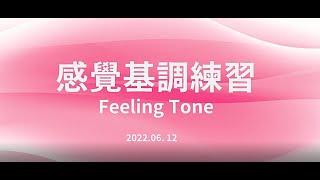 《感覺基調 練習 賽斯 Feeling Tone from The Seth Material》 錄製 by 雪花紛菲心靈陪談室