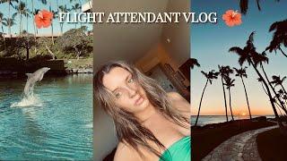 Hawaii Vlog | Flight Attendant Edition