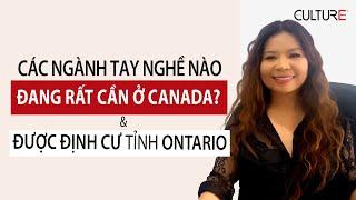 Các Ngành Tay Nghề Nào Rất Cần Tại Canada và Được Định Cư Tỉnh Ontario | In-Demand Skill Stream