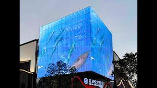 ＂The Cube＂- custom transparent creative LED display screen project