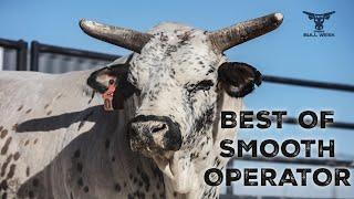 Smooth Operator's Top Highlights |  Watch the Bull’s Slick Moves