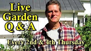 Garden Grounds E-41 Live Q & A: Live Garden Questions Answered -  Managing the Summer Heat