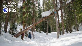 On patrol with the Cameron Pass Nordic Rangers