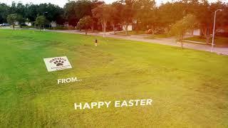 Boarding Kennels in Margate : Happy Easter from Manston Boarding Kennels