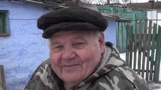 Николаевские голуби. 80 лет по жизни с голубями.