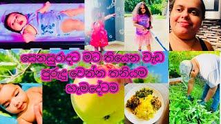 Simple life in America | අපි හැමෝගෙම හැඩිවෙන කුස්සියේ තැන | USA Family