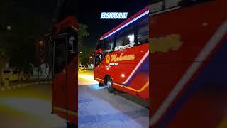 Elshaddai, Keberangkatan Malam. #shorts #busindonesia #busmania #terminalbrps #busmakmur #bustronton