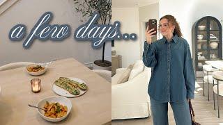 VLOG: Tiger Goes to the Vet, Anniversary Dinner at Home, & Fall Home Decor Shopping