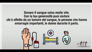 Donazione di sangue | Tutto quello che c'è da sapere