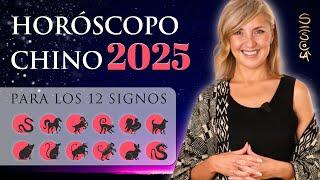 HOROSCOPO CHINO 2025 PARA LOS 12 SIGNOS AÑO SERPIENTE 2025 