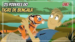 Aventura com os kratts - O templo do tigre - episódio completo em português HD - kratts series live