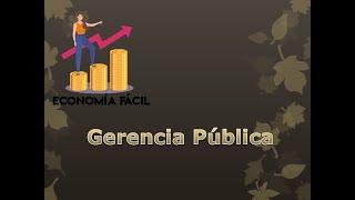 Gerencia Pública