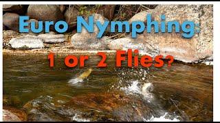 Where and Why Should You Nymph With 1 or 2 Flies