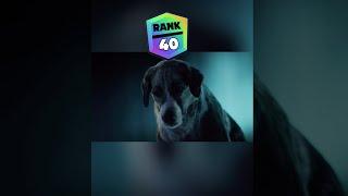 Brawl Stars Dog Rank Up 40 #shorts