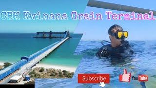 scuba diving Perth grain terminal