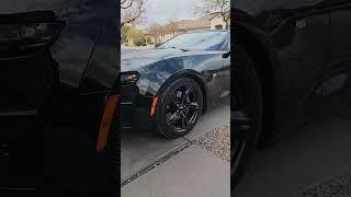 Camaro SS   Part 6 Paint Correction Magic @ DJ's Auto Detailing #anthemcardetail  #premiumdetailing