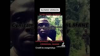 @swagmskyy song (CRIMINAL MANE- Slowed)