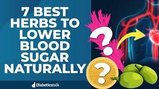 7 Best Herbs To Lower Blood Sugar Naturally