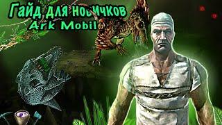 Гайд для новичков Ark Mobile, бальзам, как добыть рессурсы, как фармить с багом на трубу