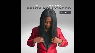 Punta Hollywood Mixtape (Full Album) - Lil June Afro Punta
