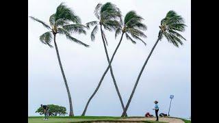 Caddie Line: 2022 Sony Open in Hawaii best bets, predictions