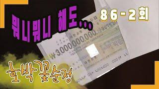 [Pumpkin flower pure] 3 billion ?? 86-2