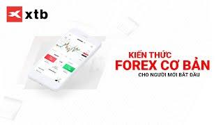 Giao dịch Forex căn bản dành cho người mới bắt đầu | XTB Trading Academy