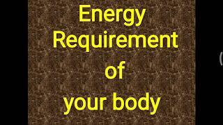 How to calculate your daily energy requirements?