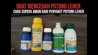 OBAT PENYAKIT POTONG LEHER PADA TANAMAN PADI | REVIEW OBAT FUNGISIDA MENCEGAH POTONG LEHER